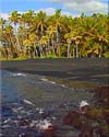 Black Sand Beach