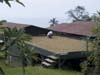 Greenwell Coffee Plantation Kona Hawaii