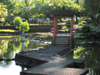 Queen Liliuokalani Garden Ponds